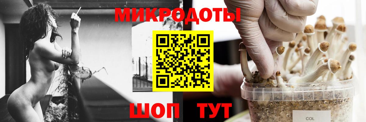 Казань  Галлюциногенные грибы мухоморы  Псилоцибиновые грибы Psilocybine cubensis  Вход с VPN 